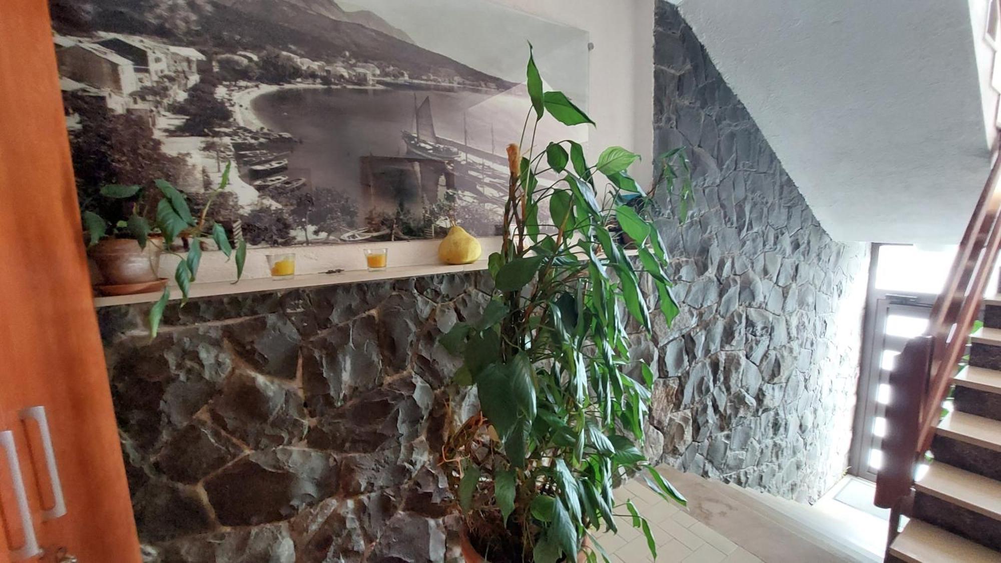 Apartamento Haus Sonja Podgora Exterior foto